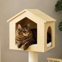 Meow Planet Lookout