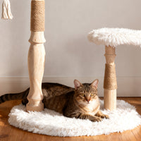 Classical Column(33INCH)