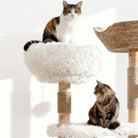 Okra Modern with Rattan Cat Basket(51INCH)