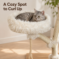 Cat_curled_up_on_a_soft_cushioned_perch_of_a_solid_wood_cat_tree
