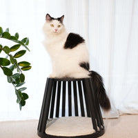 Omee Modern Wood Cat Bed