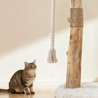 cat using a natural sisal scratching post on a sturdy solid wood cat tree