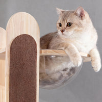 Okra Modern Cat Tower