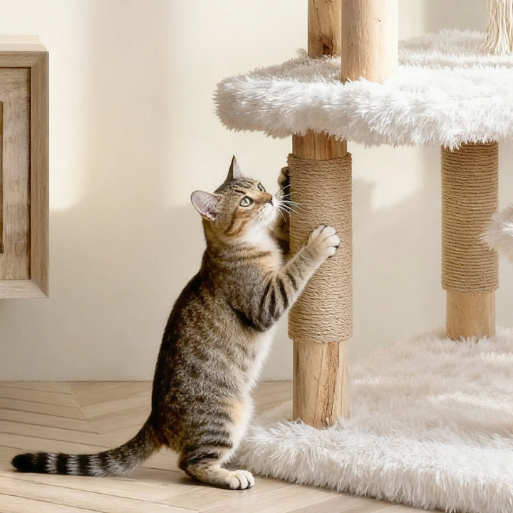 How a Sturdy Wooden Cat Tree Transformed Our Home | Jasper & Luna’s Kingdom