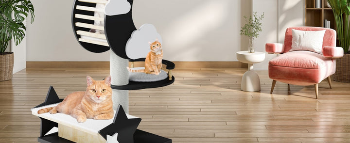 Beyond Kittens: Finding a Genuinely "Cute" Adult Cat Tree That's Also Stylish - Catsvillas