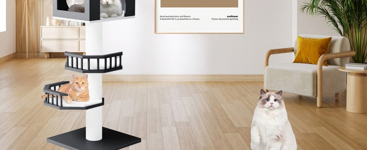 Can a Minimalist Cat Tree Really Handle Large Cats? The Surprising Answer. - Catsvillas