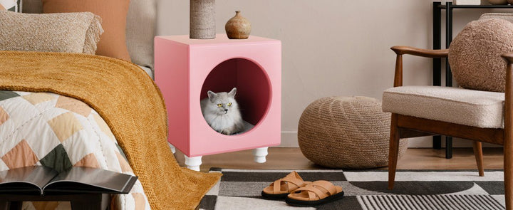 How to Choose an Aesthetic Cat Tree That Elevates Your Home - Catsvillas