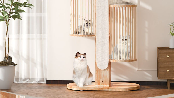 Why a Solid Wood Cat Tower is the Ultimate Upgrade for Your Cat and Your Home - Catsvillas