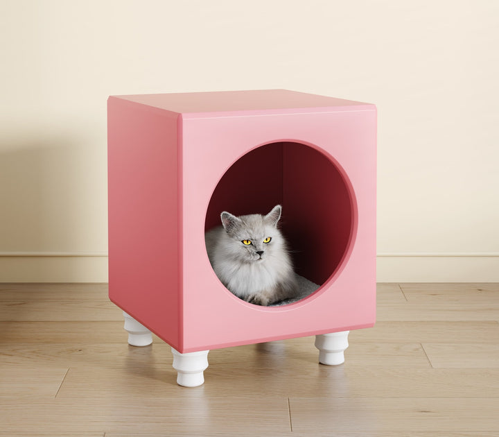 Exclusive Picks - Catsvillas