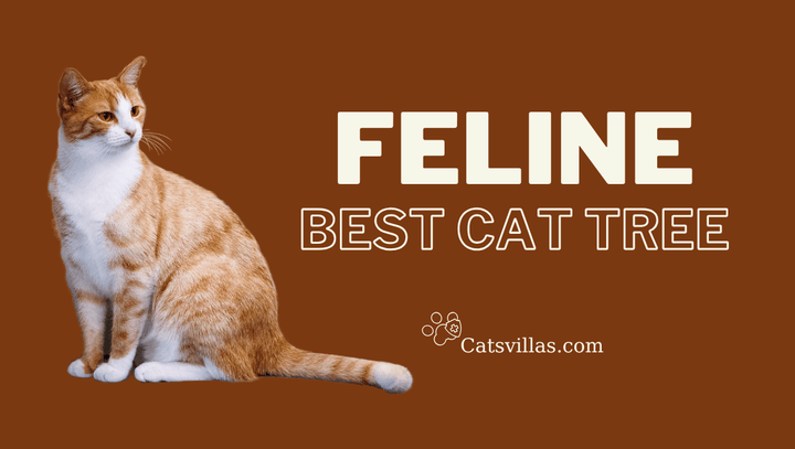 Season sale, Cat Tree - Catsvillas