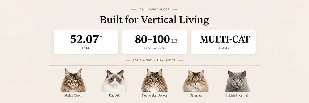 Mewzoom Duo Nest Modern Cat Tree with Condo, Solid Wood Double-Nest Design product detail image 1