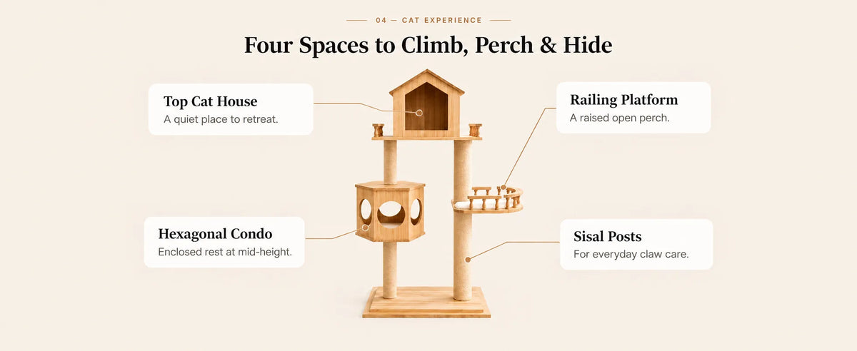 Mewzoom Duo Nest Modern Cat Tree with Condo, Solid Wood Double-Nest Design product detail image 3