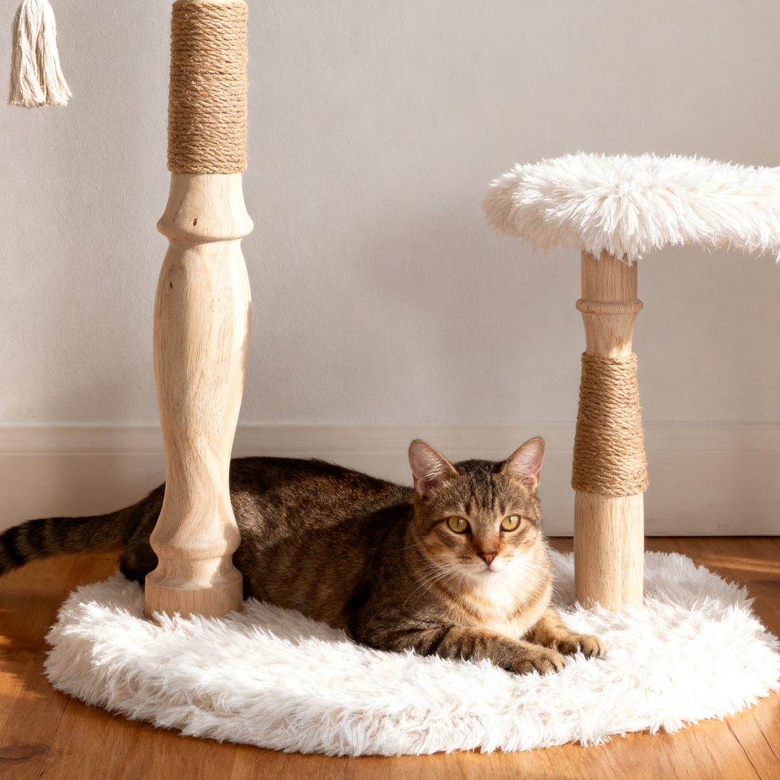 Classical Column(33INCH)