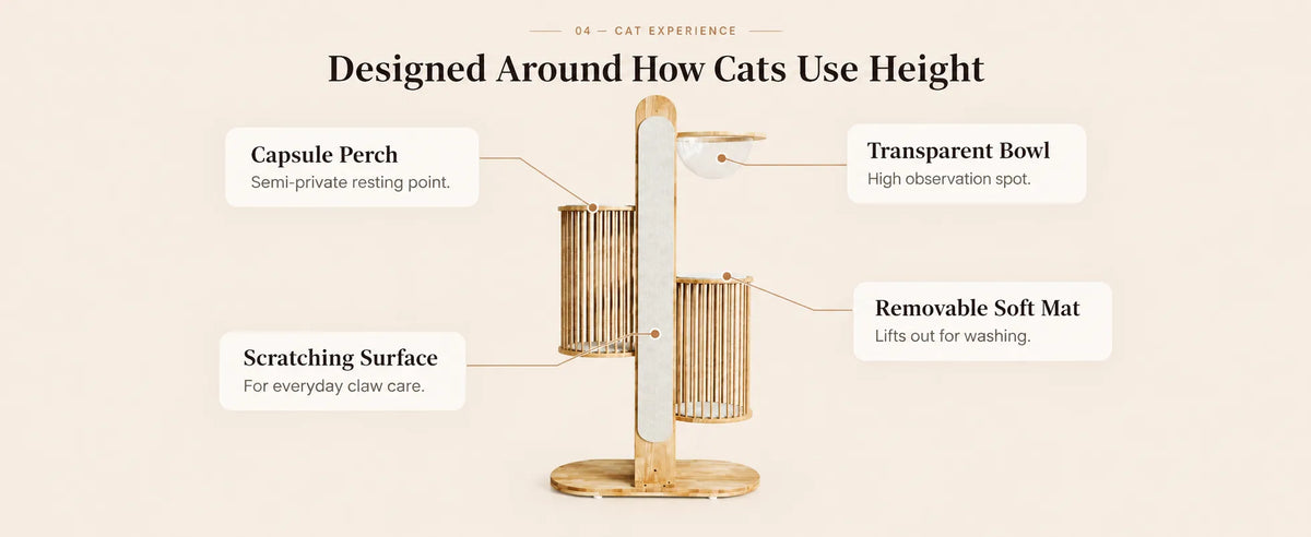 Okra 67" Modern  Cat Tower for Large Adult Cats, Solid Wood product detail image 3