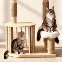 Okra Modern with Rattan Cat Basket(51INCH)