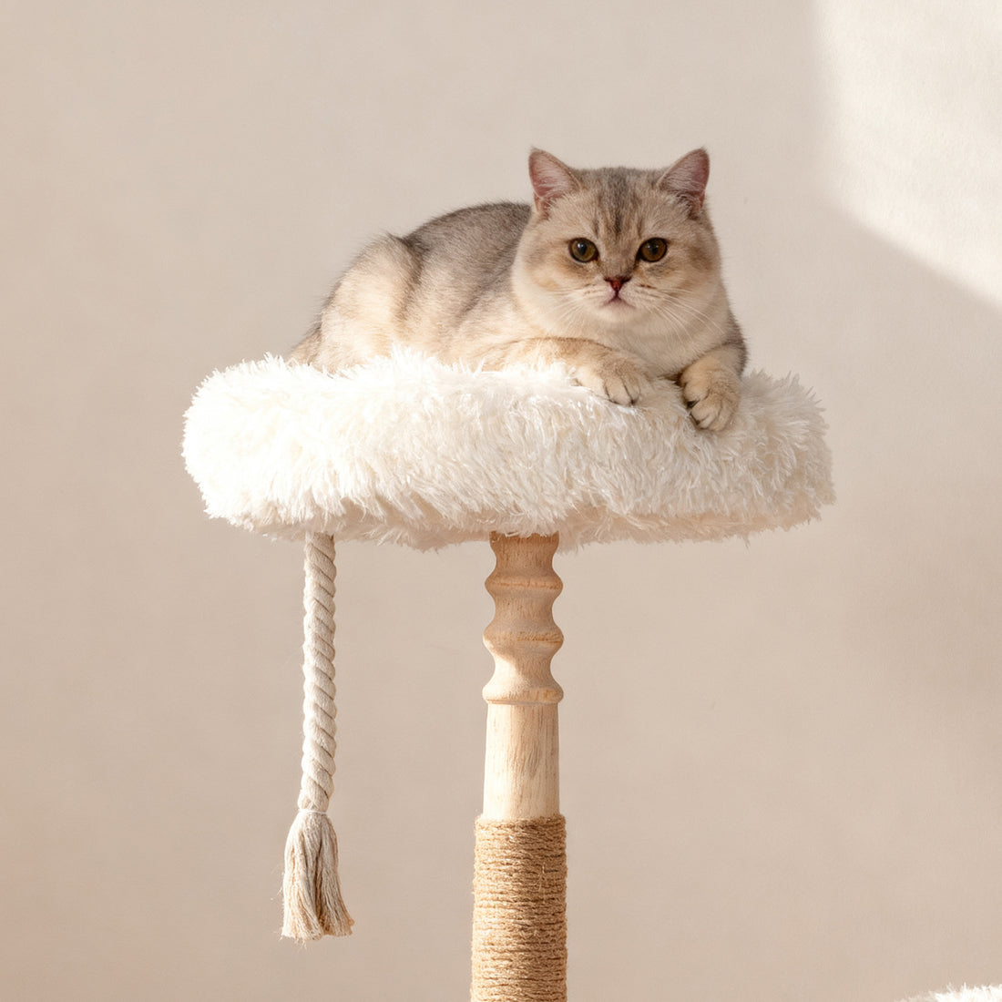 Classical Column(33INCH)