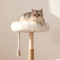 Classical Column(33INCH)