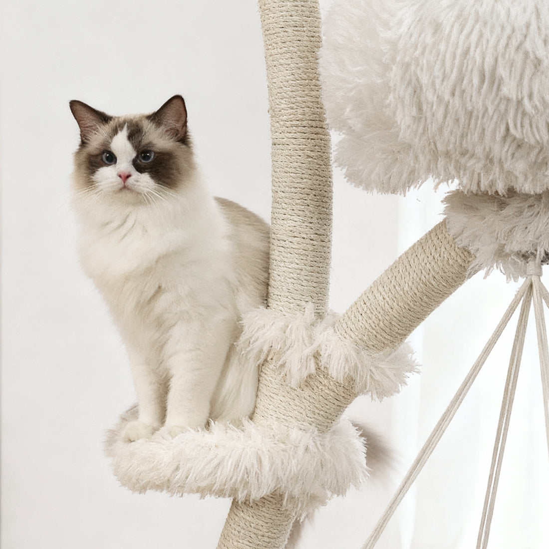 Cat climbing and playing on a multi-level solid wood cat tree