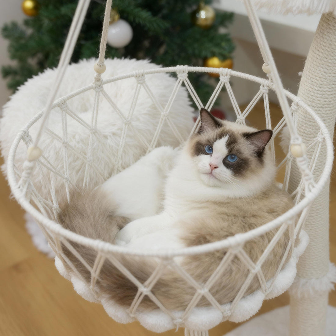 Cat relaxing in a hanging basket attached to a multi-level cat tree