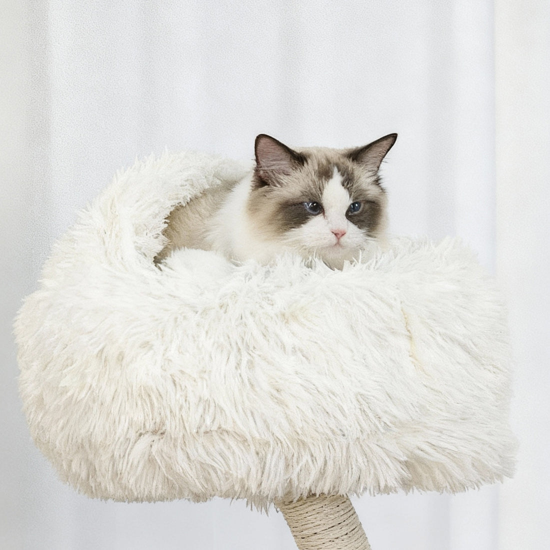 Cat resting on a soft cushioned platform of a white solid wood cat tree