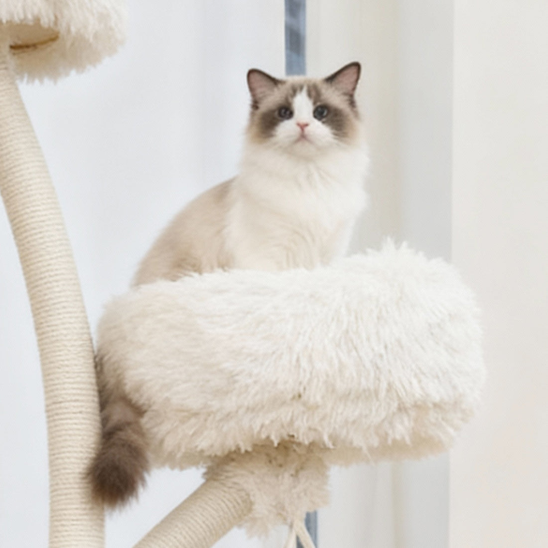 Cat sitting on a cushioned top platform of a white cat tree
