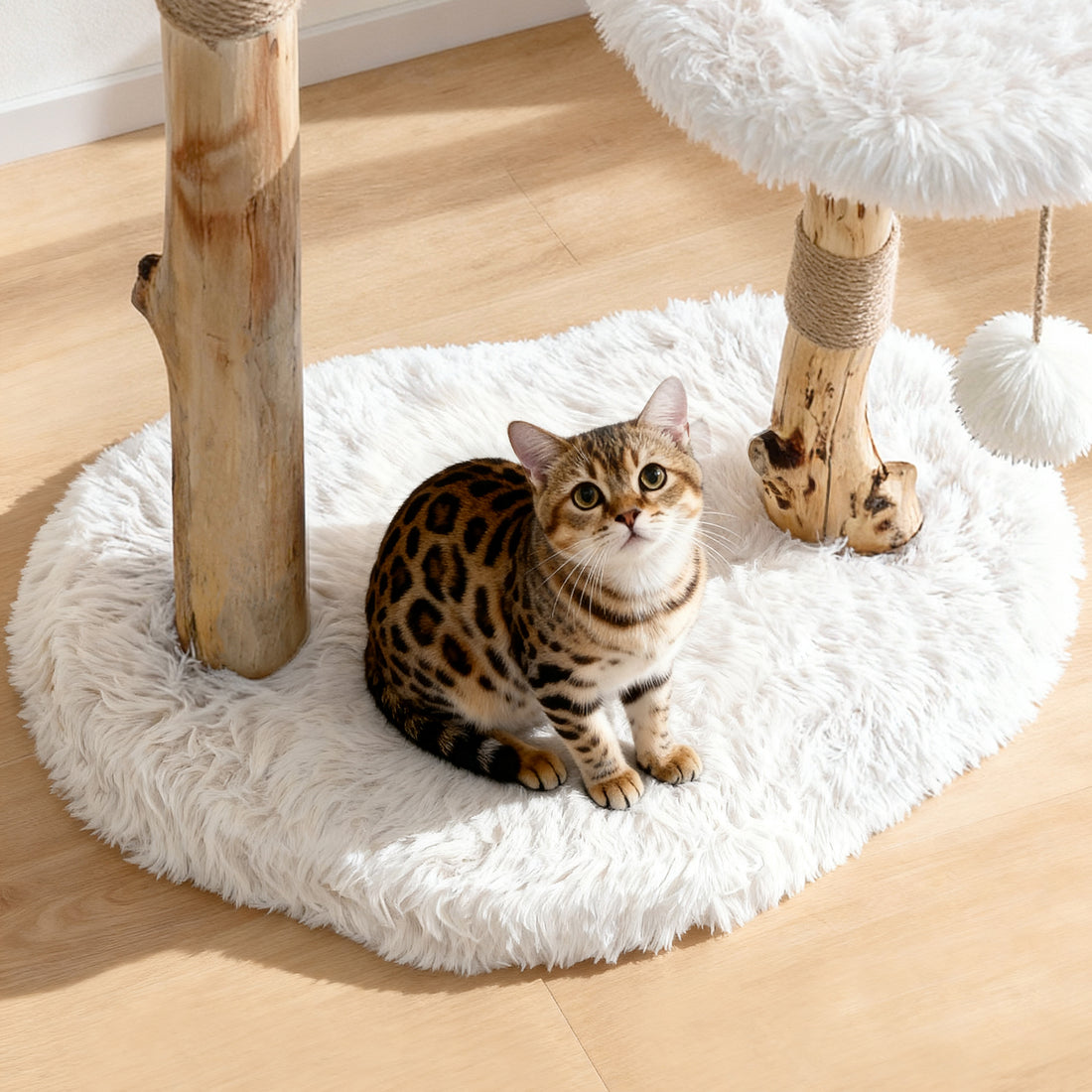 indoor cat relaxing on a wooden cat tower with soft plush perch