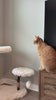 Shou Sugi Ban Stylish Cat Tree, Solid Wood Modern Cat Furniture
