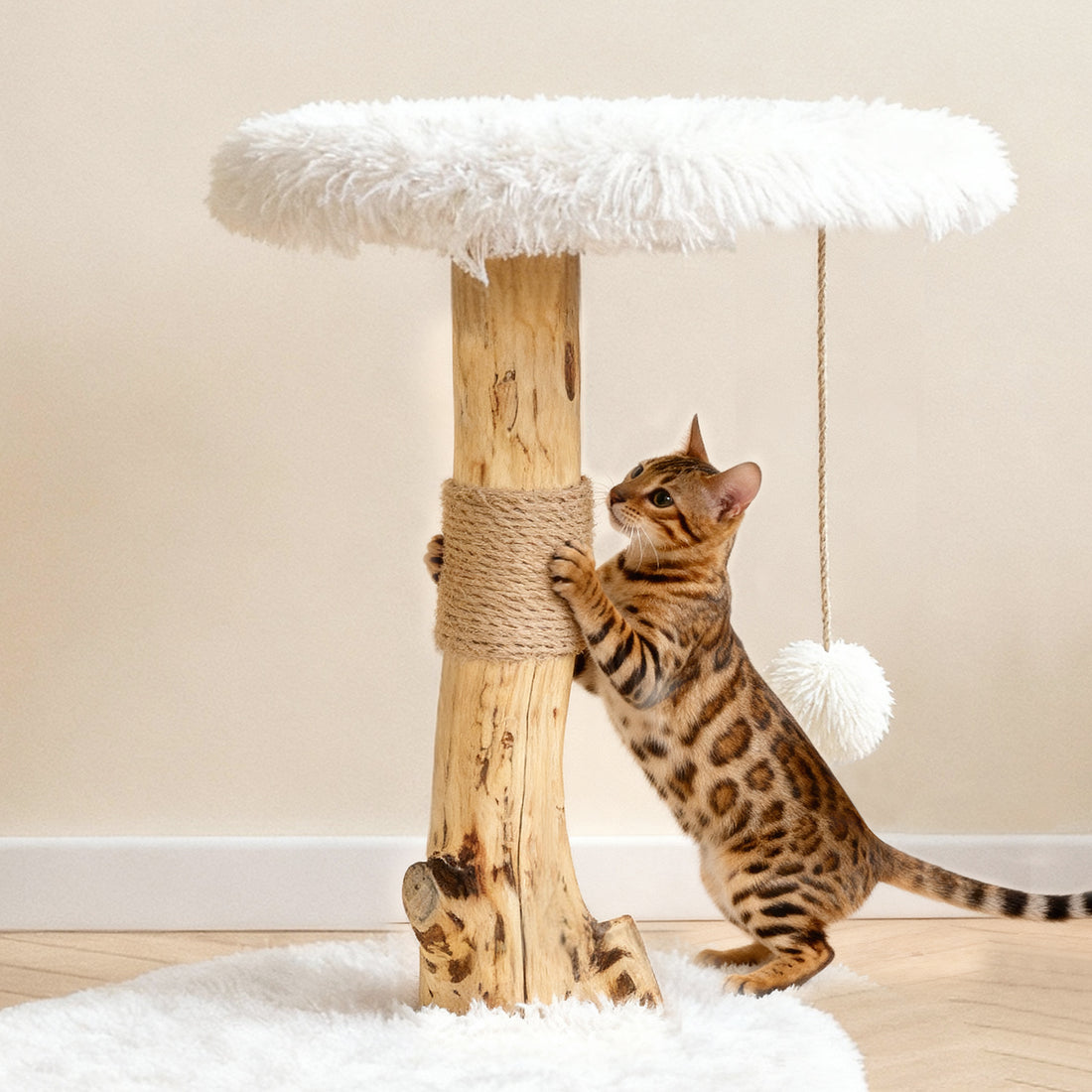cat climbing a tall wooden cat tree with sisal scratching posts and elevated platforms