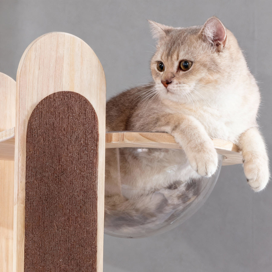 Okra Modern Cat Tower